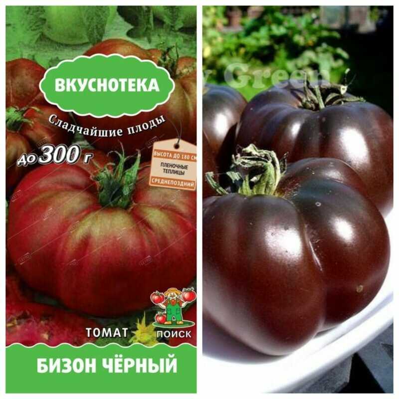 Томат сахарный бизон: описание высокорослого сорта, его характеристика, отзывы и фото огородников, выращивание и уход, урожайность