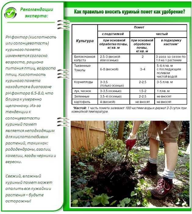 Гранулированный куриный помет как удобрение: состав, свойства, применение