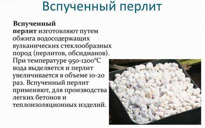 Что такое перлит для растений? его состав и виды: вспученный, пластинчатый