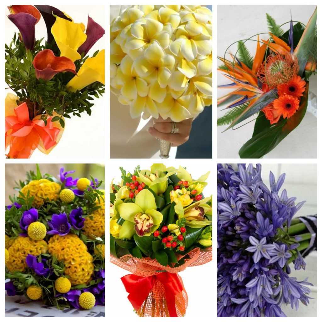 экзотические цветы для букетов названия и фото