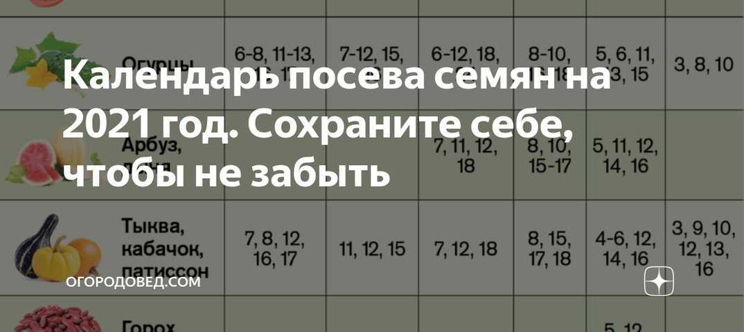 Когда сажать гладиолусы в открытый грунт весной: как посадить, правила, уход, рекомендации