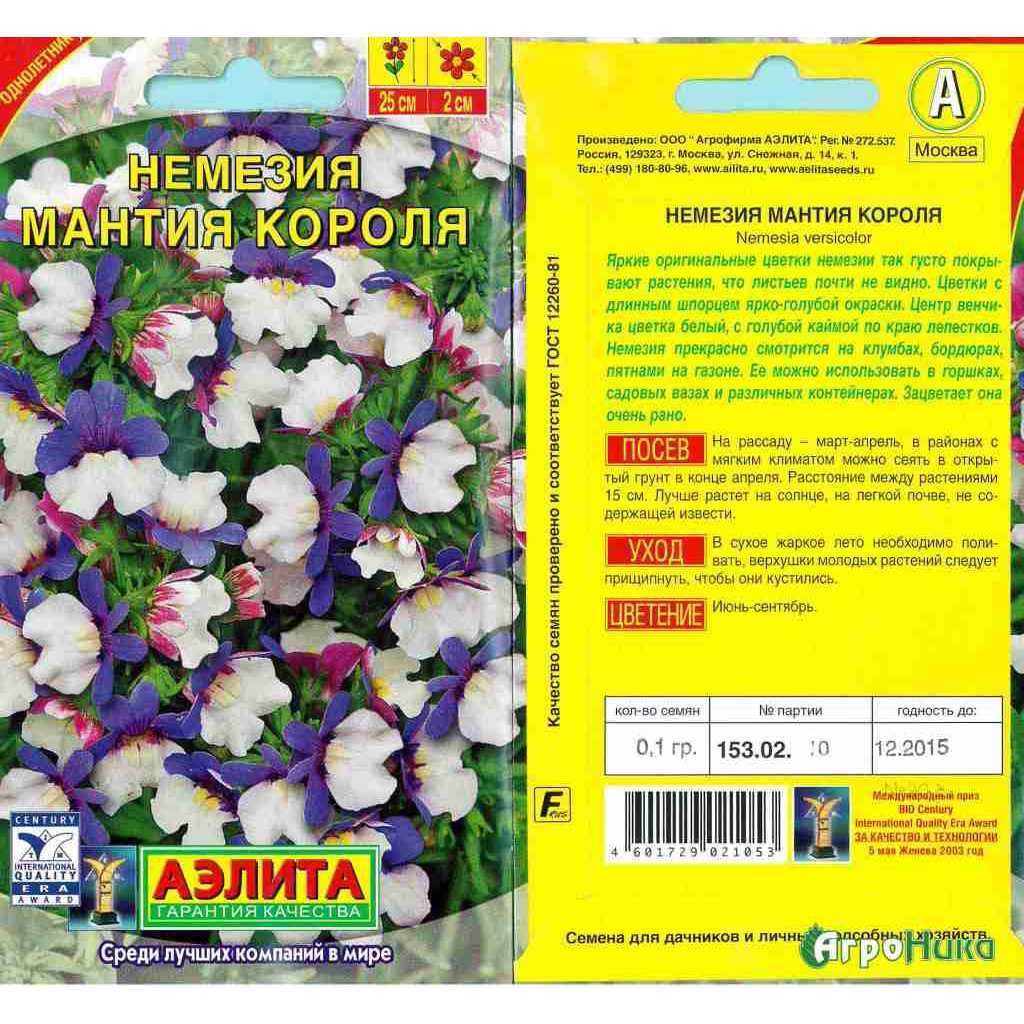 Немезия посадка и уход фото когда сеять семена в саду, дома