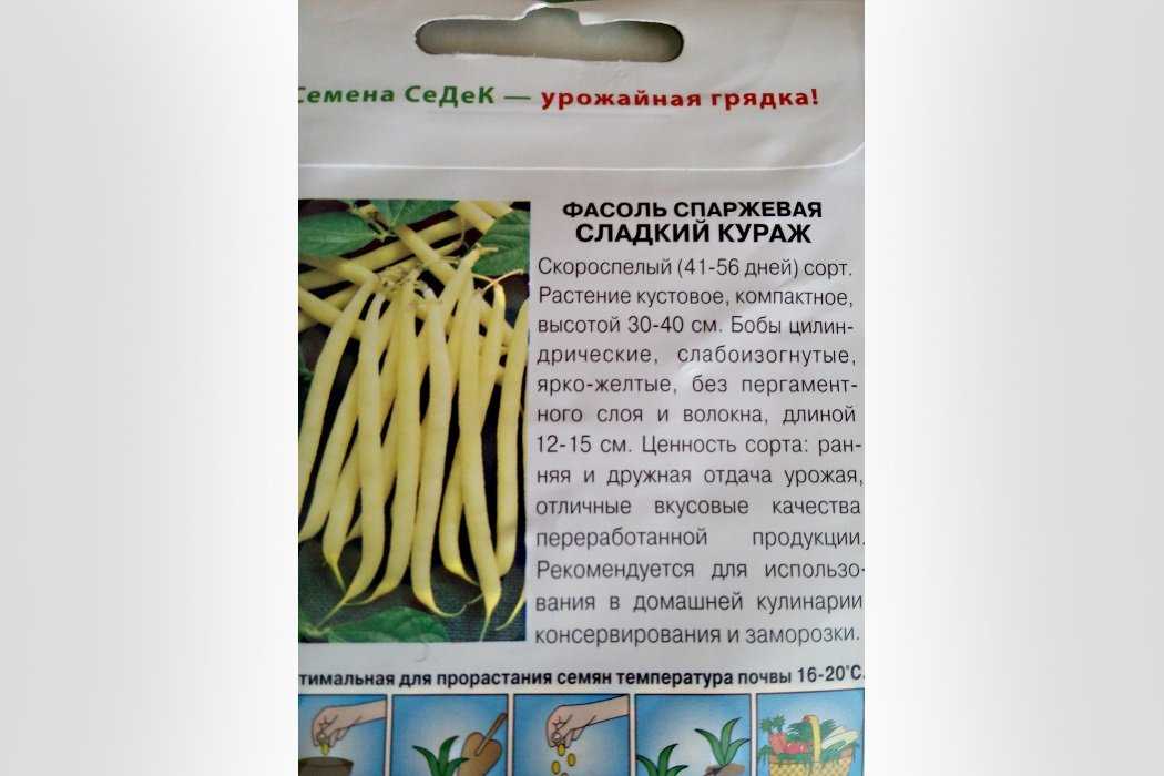 Когда и как правильно сажать фасоль семенами в открытый грунт: сроки, правила, схемы