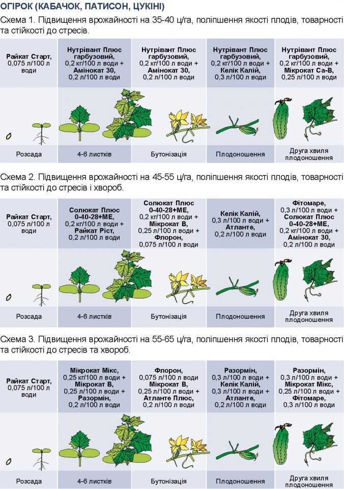 Подкормка огурцов, томатов и перца дрожжами: отзывы и лучшие рецепты