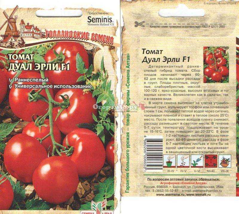 Томат хлыновский: характеристика и описание сорта, его преимущества и недостатки, отзывы фермеров и фото урожая