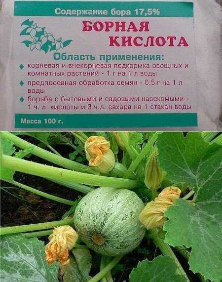 Борная кислота для увеличения урожая помидоров и огурцов