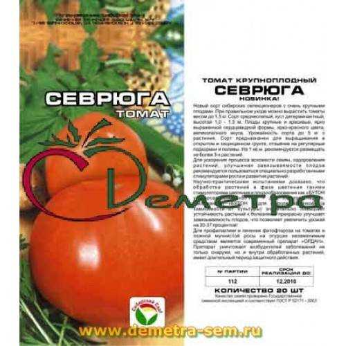 Томат пудовик (севрюга): характеристика и описание сорта. отзывы тех, кто сажал