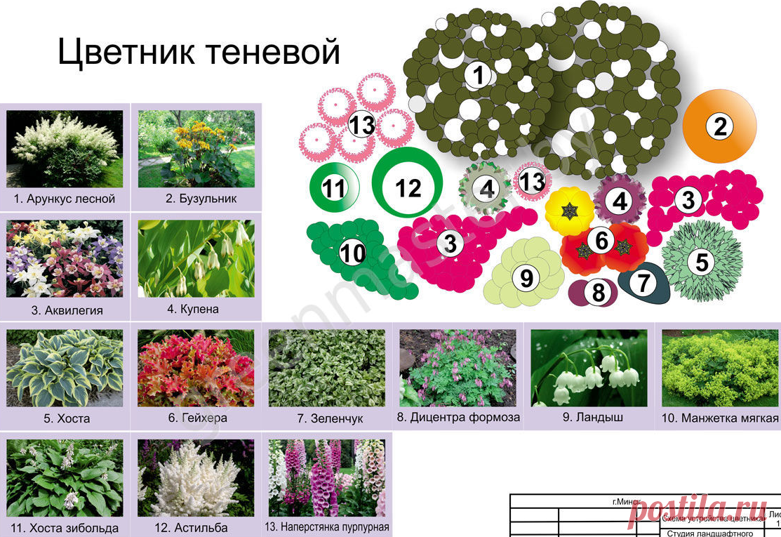 Красивые клумбы - 99 фото наиболее роскошных идей дизайна