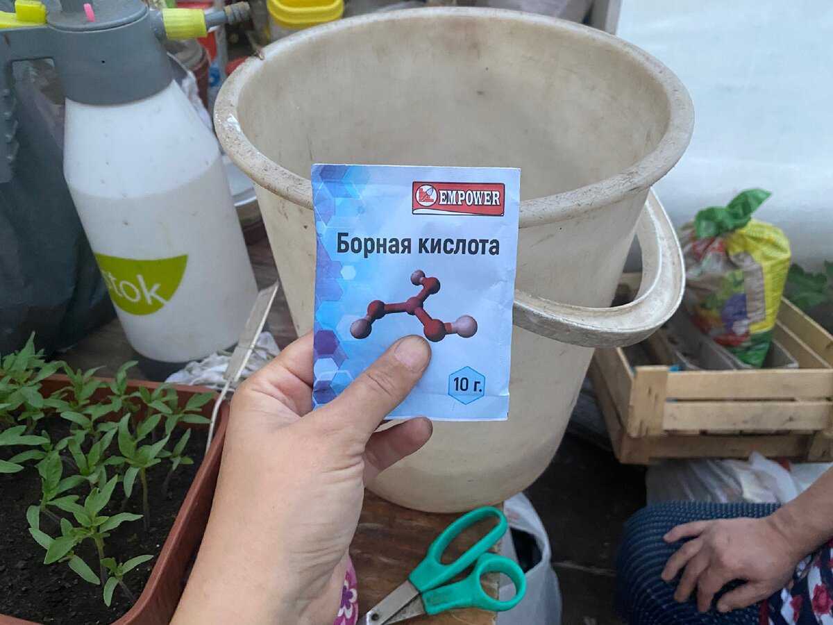 Применение борной кислоты для помидор