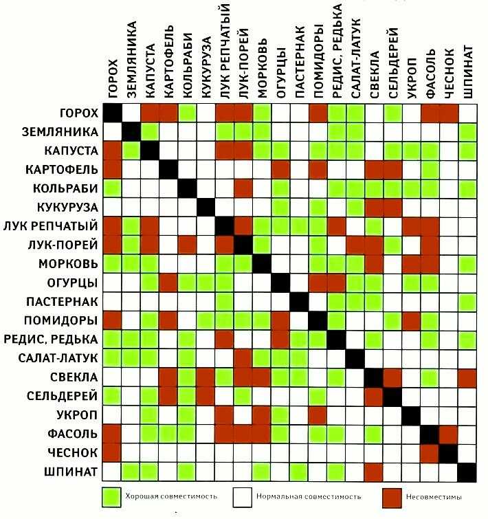 ✅ как вырастить арбуз и ухаживать за ним: уход, полив, формирование в открытом грунте, сорта, выращивание в домашних условиях