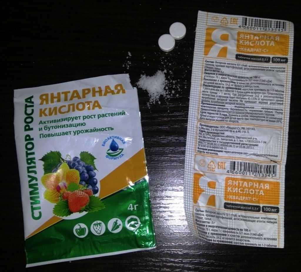 Янтарная кислота для рассады