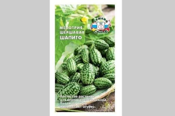 Огурдыня: выращивание, уход, сорта, отзывы, фото - дачные советы