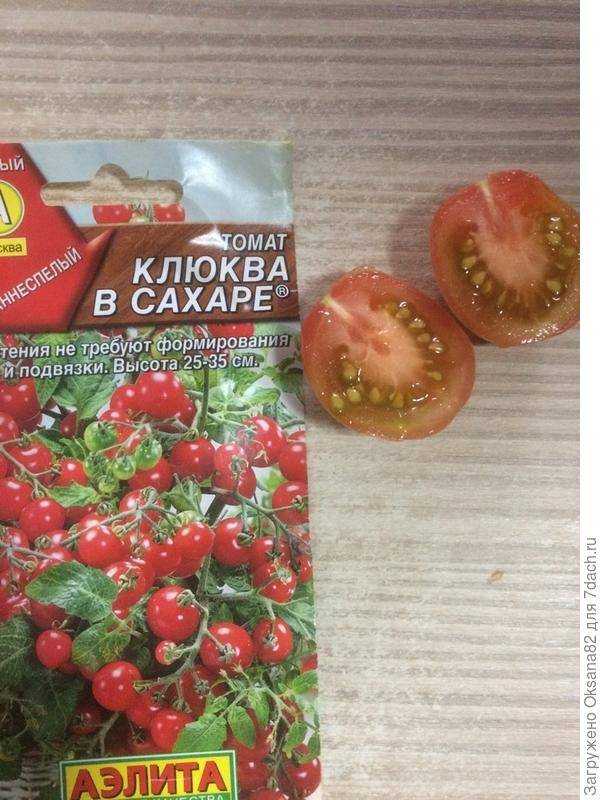 Томат клюква в сахаре: отзывы, описание, урожайность, выращивание
