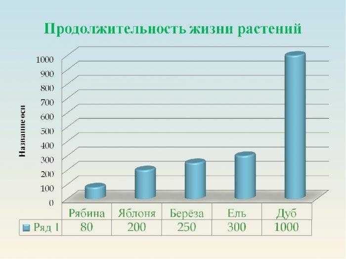 Топ-15 ранних сортов яблок для вашего сада