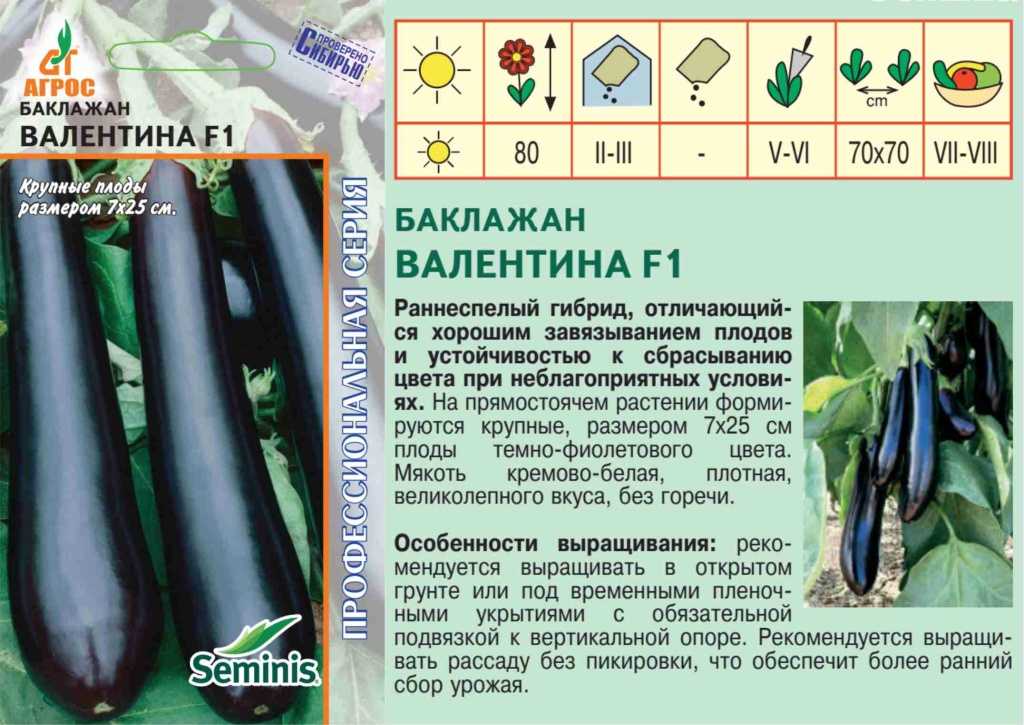 Описание и особенности посадки баклажана «валентина»: характеристики, свойства, методы