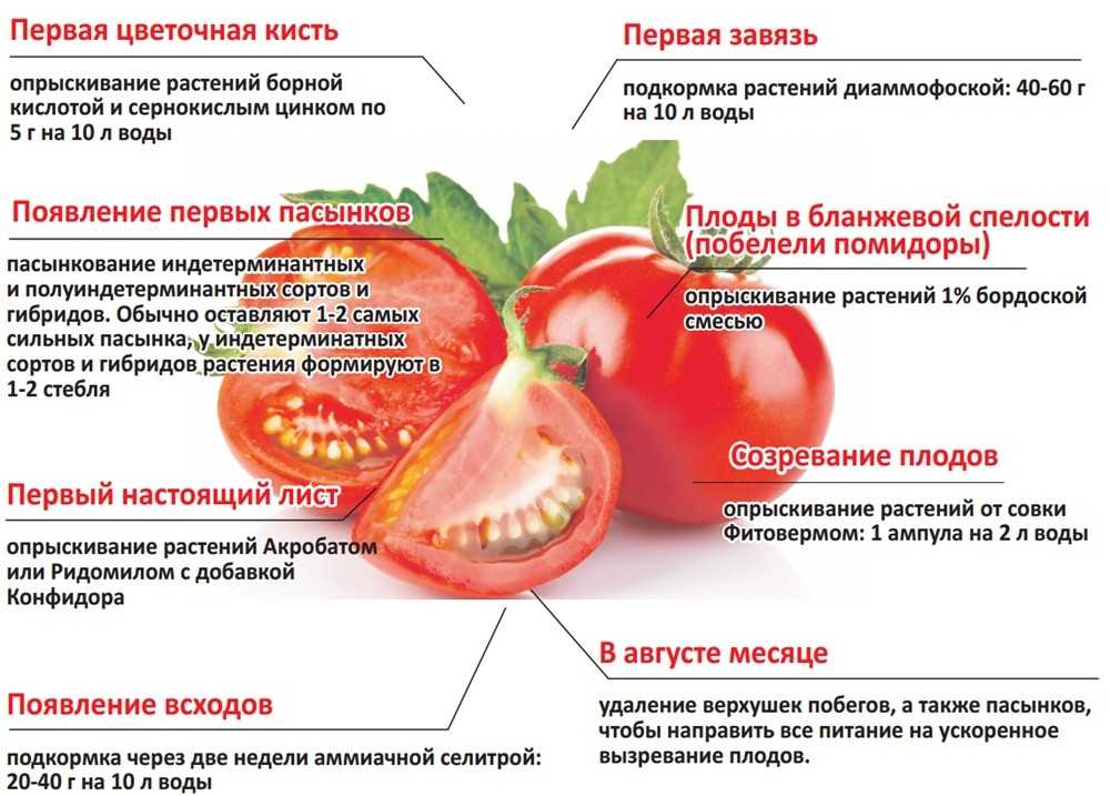 Чем подкормить помидоры в период цветения и завязывания плодов: лучшие составы для хорошей завязи плодов, чем и как поливать в теплице и открытом грунте