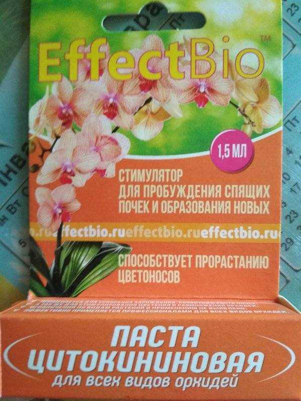 Как применять цитокининовую пасту для орхидей