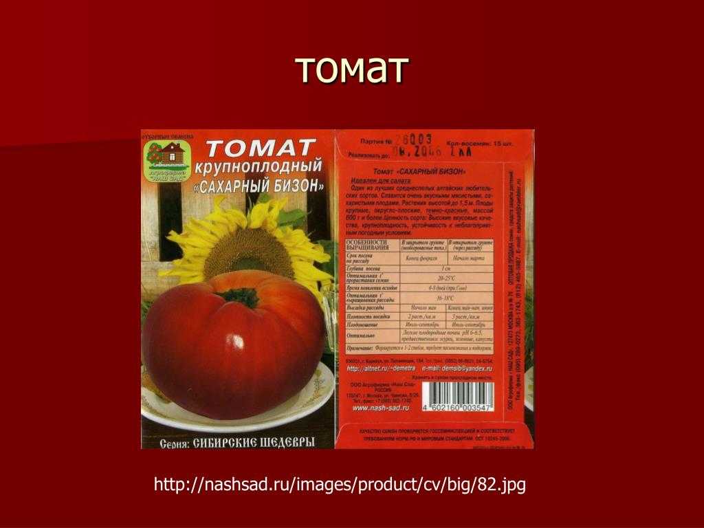 Сорт томата сахарный бизон. Томат сахарный Бизон характеристика. Сахарный Бизон томат описание. Сорт томатов сахарный Бизон.