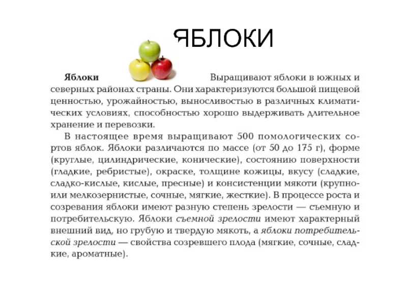 11 низкорослых яблонь - сорта на карликовом подвое для средней полосы, высота и плодоношение
