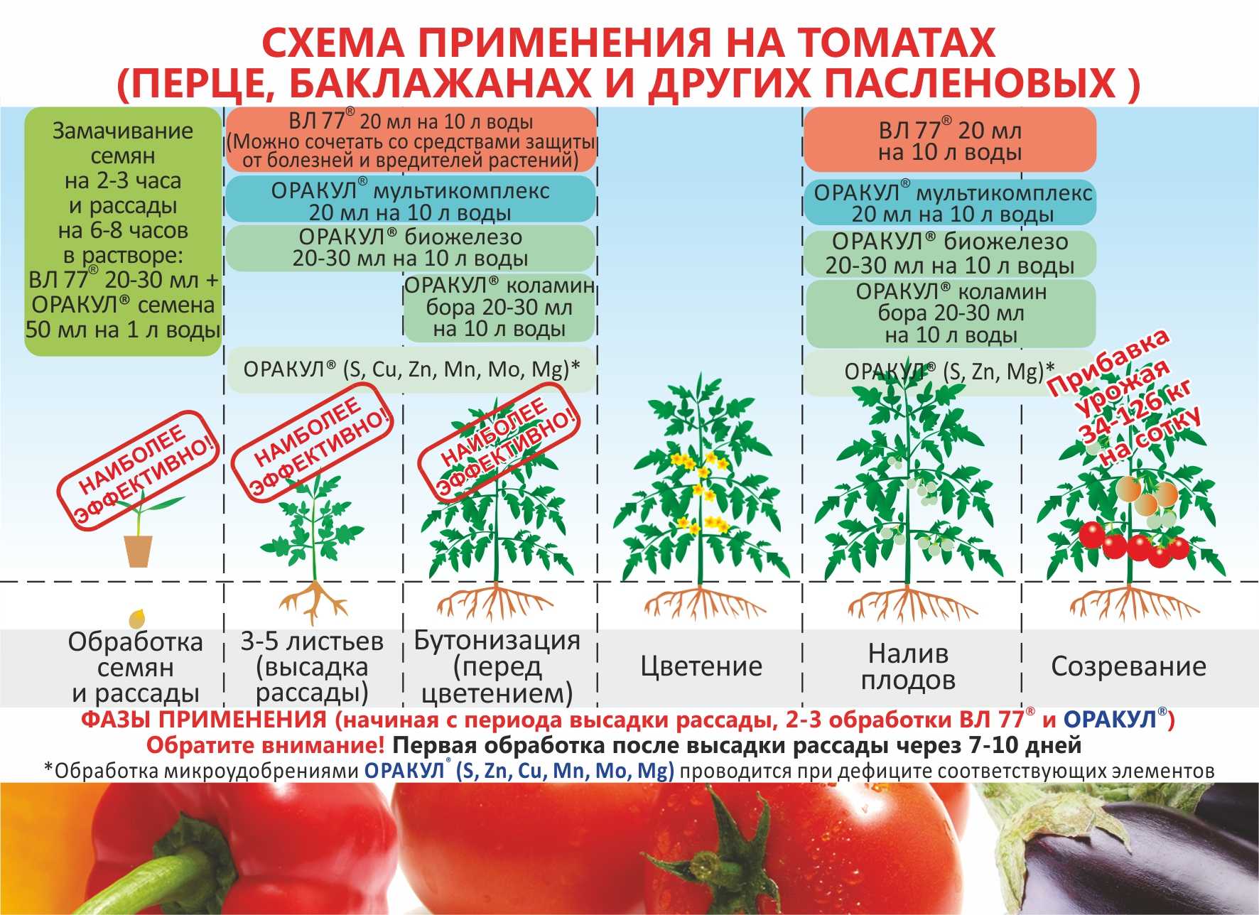 Лучшие сорта кабачков для подмосковья, сибири и урала, голландской селекции, самоопыляемые, кустовые
