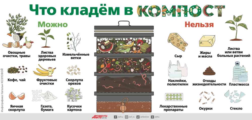 Яблоки и груши, опавшие с деревьев, опытные садоводы рекомендуют вывозить из сада В большинстве случаев падалицу можно использовать с пользой, заложив её
