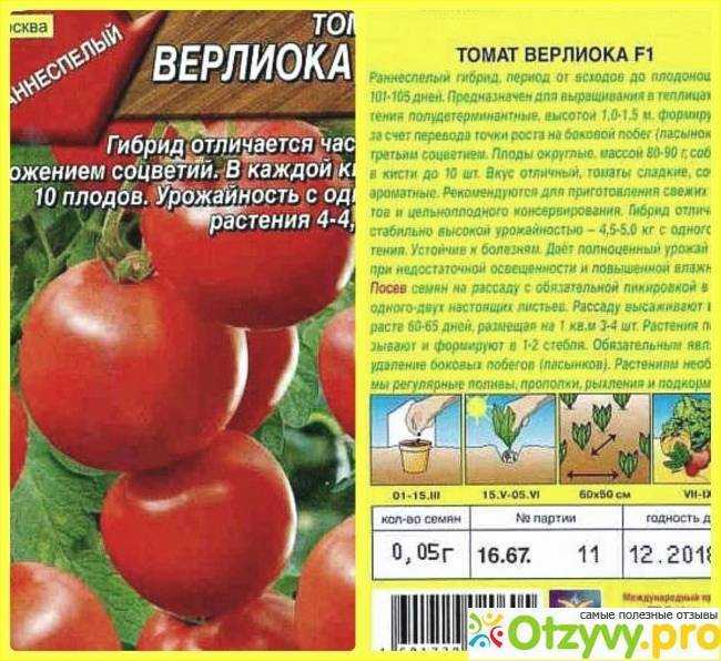 Характеристика и описание сорта томата вспышка