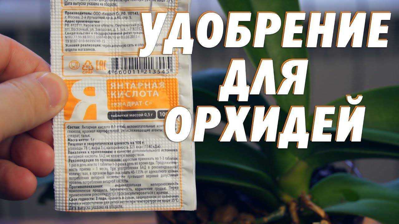 Янтарная кислота для орхидей — как применять и в чем ее польза