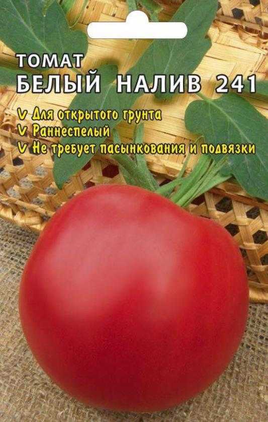 Устойчивый к жаре и холодам томат «белый налив»: описание и характеристика сорта, особенности выращивания помидоров