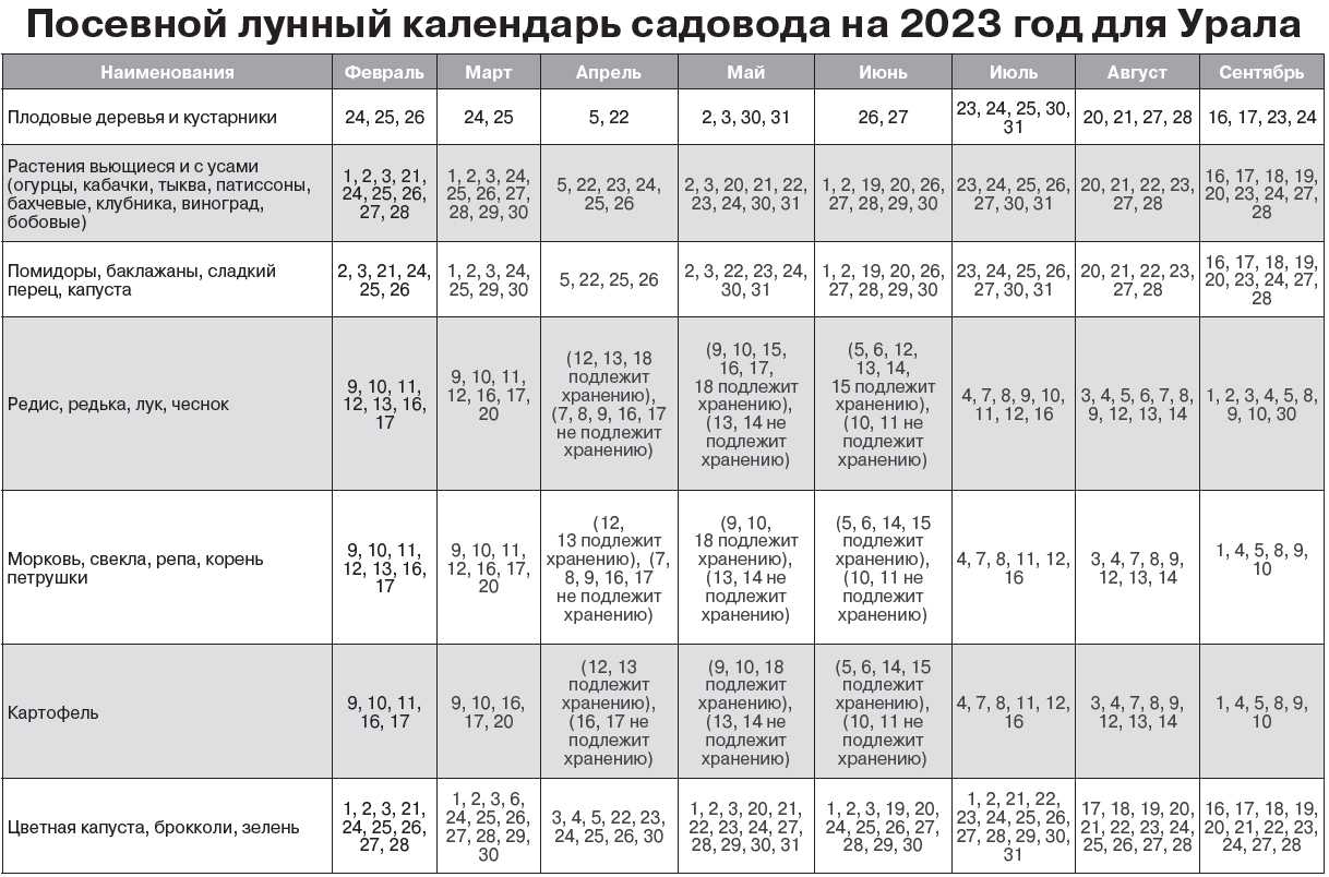 Когда и как сажать лук весной в 2023 году (в различных регионах)