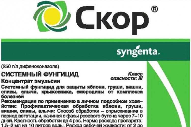Скор — инструкция по применению фунгицида и отзывы об инсектициде