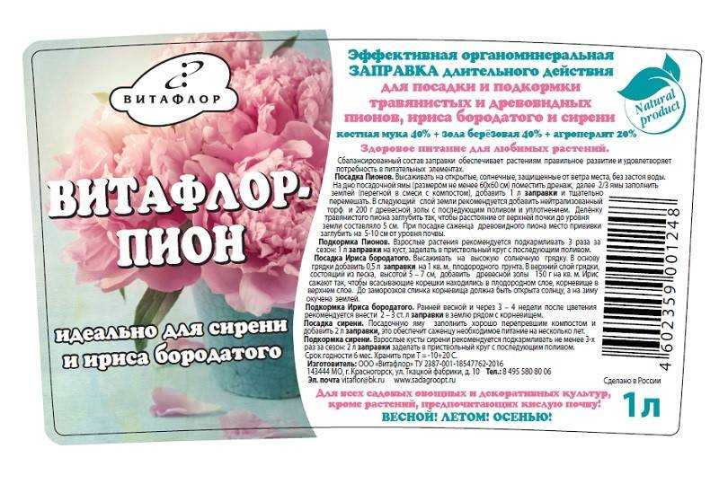 Чем подкормить гладиолусы для обильного цветения