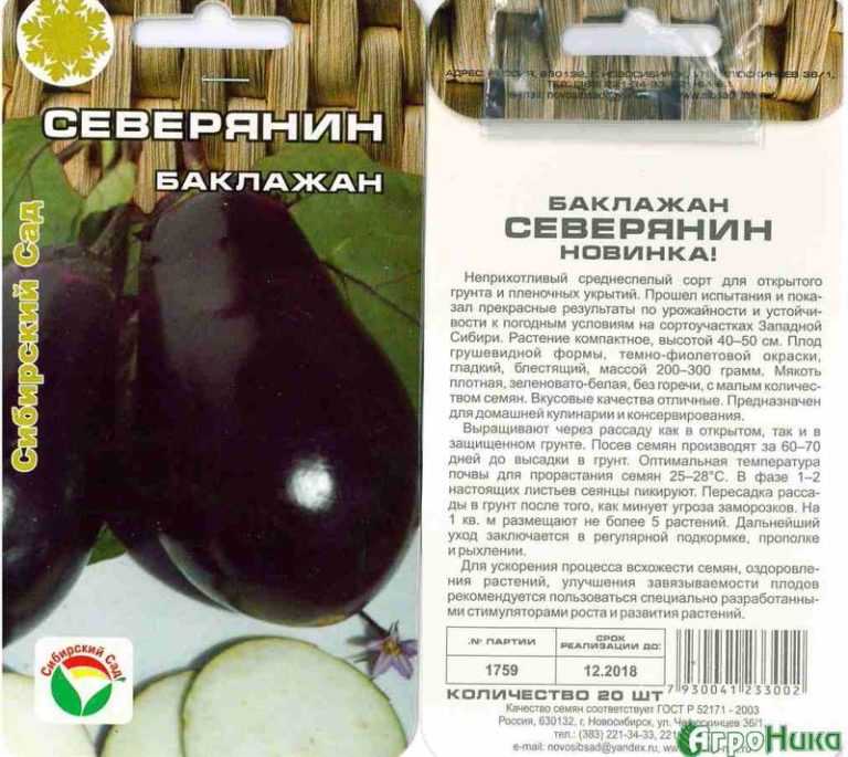 Баклажан буржуй: описание сорта, фото, характеристика плодов, отзывы, урожайность, достоинства и недостатки, особенности выращивания