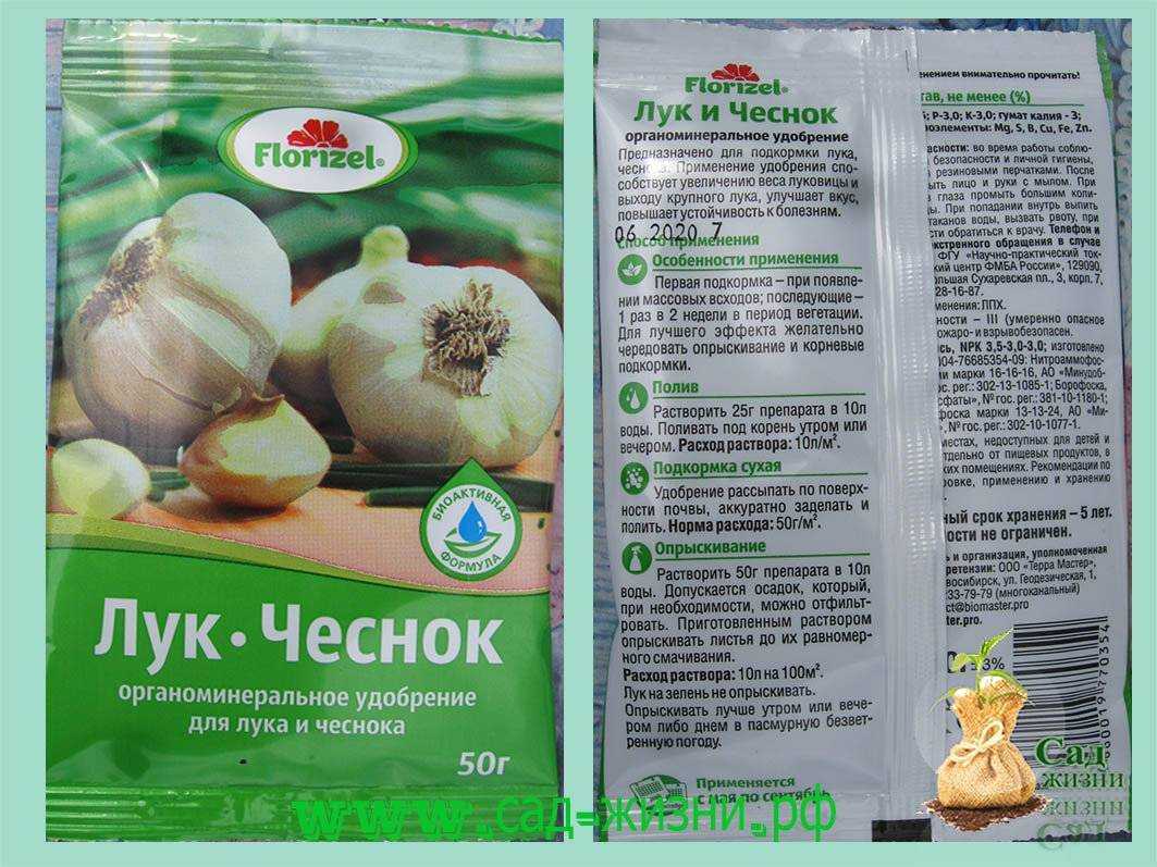 Подкормка лука в июле года для большого урожая и крупной головки