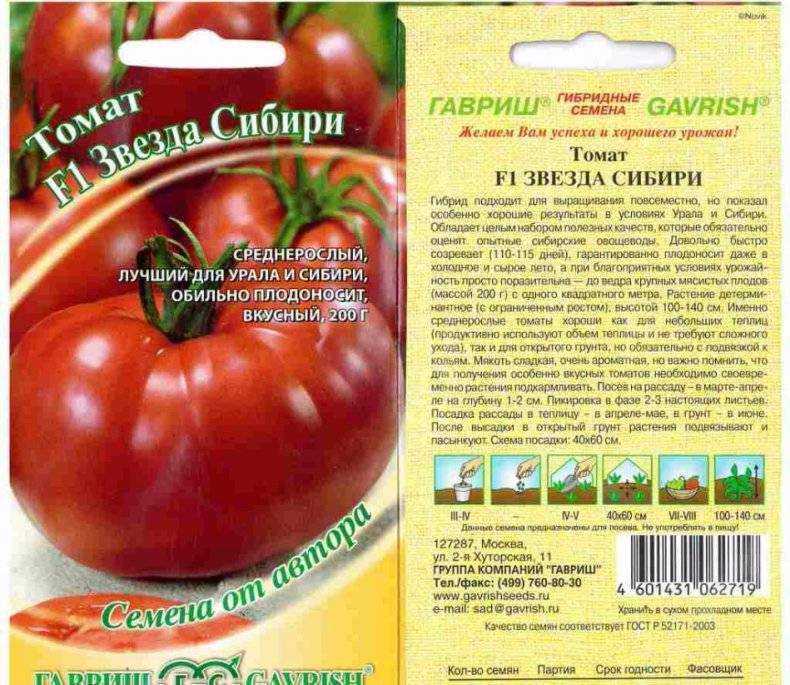 Томат мазарини – описание, рекомендации по выращиванию