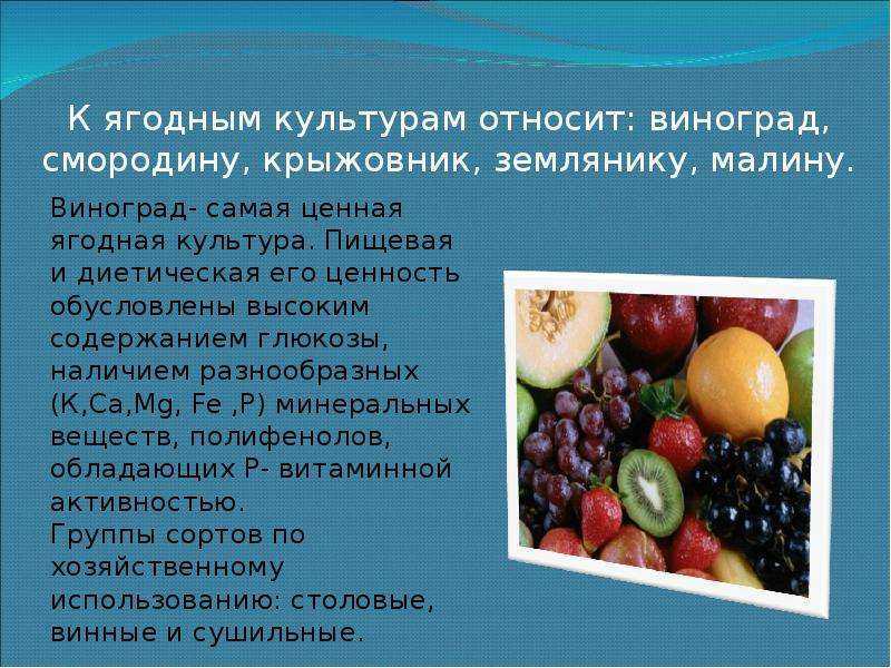 14 лучших сортов груш для посадки на дачу