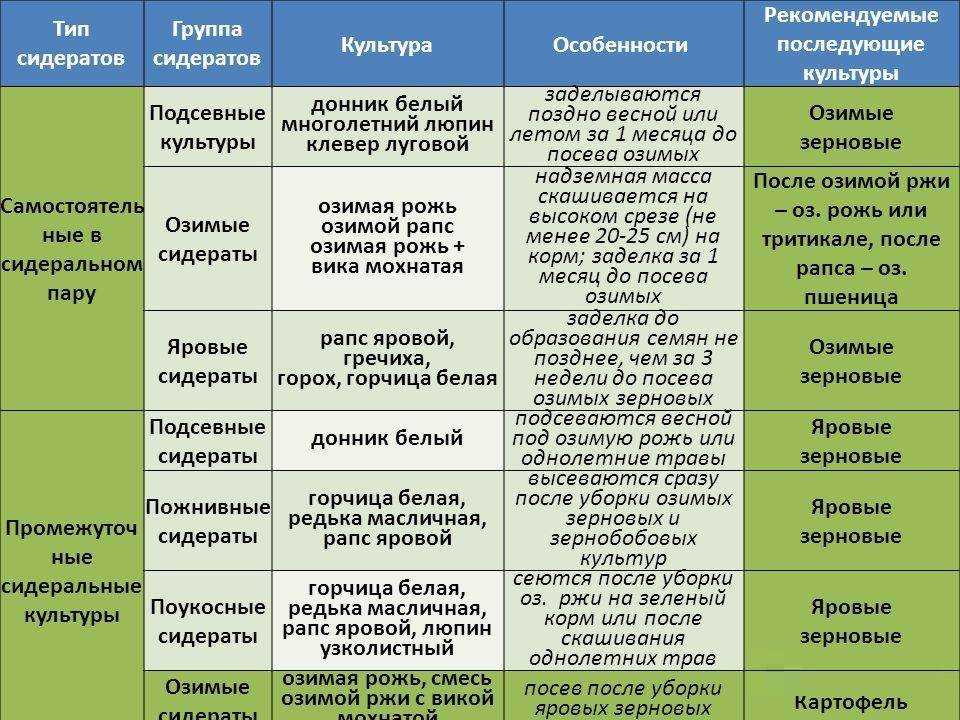 Сидераты: что это такое, какие лучше сеять весной и осенью