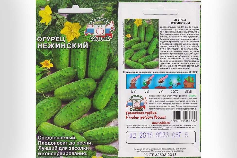 Нежинские огурцы: характеристика и описание сорта, отзывы и рекомендации по его выращиванию, возможные трудности