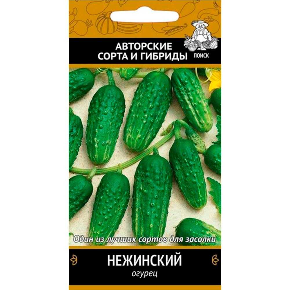 Огурец нежинский: описание сорта с фото, правила посадки и ухода, сбор урожая