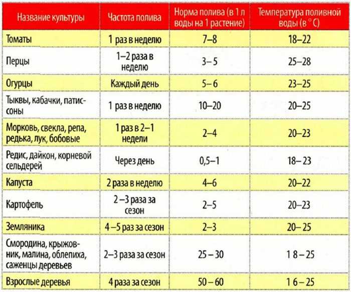 Как поливать огурцы: как часто, чем поливать, в открытом грунте, в теплице