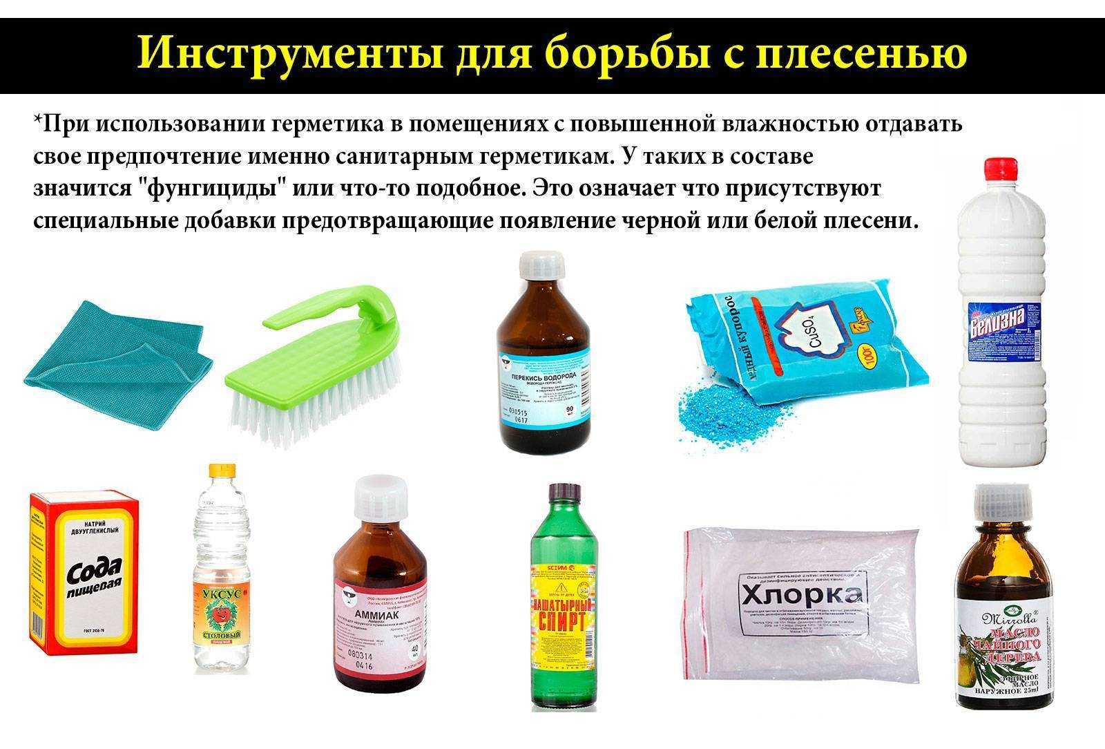 Белая плесень в погребе: как избавиться, фото / уничтожение грибка во влажном помещении, видео