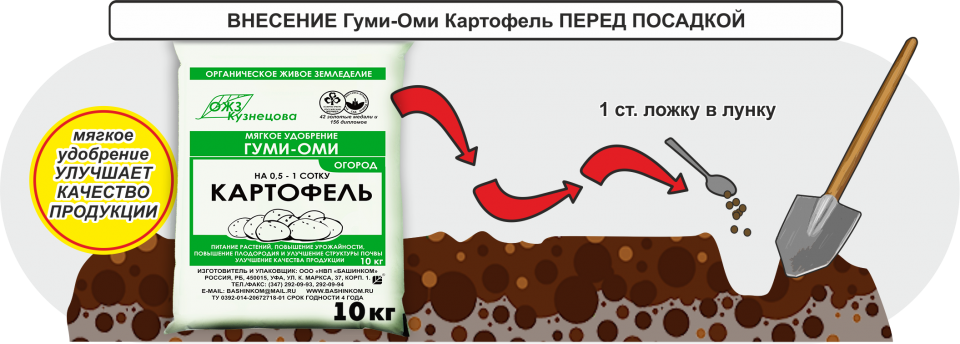 Самое лучшее удобрение для картофеля при посадке в лунку весной