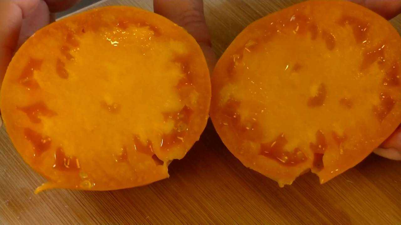 Медовый спас – характеристика и описание сорта томата, отзывы, фото