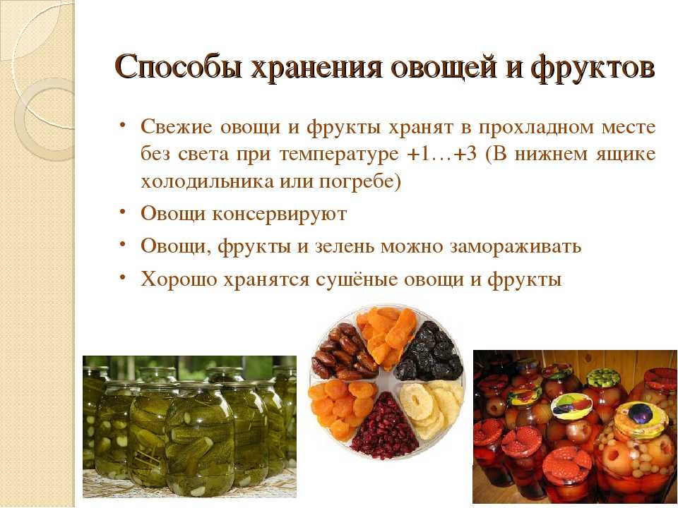 Как хранить кабачки в домашних условиях в квартире всю зиму свежими