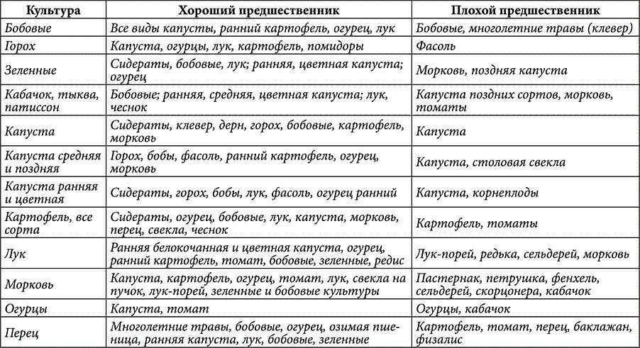 Можно ли посадить морковь после кабачков