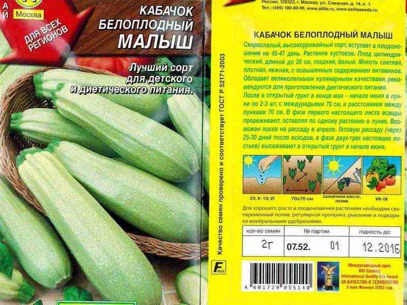 Кабачки кустовые: урожайные сорта, описания, фото, отзывы • удачный проект