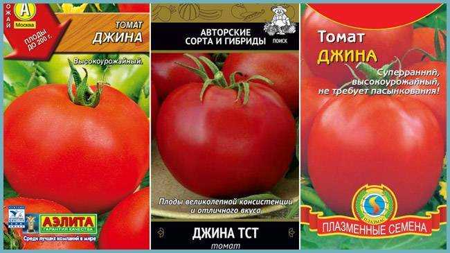 Томат джина: отзывы, фото, урожайность, характеристика и отзывы