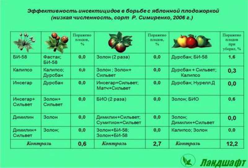 Яблонная плодожорка на яблоне: меры борьбы - когда опрыскивать и какими препаратами и средствами