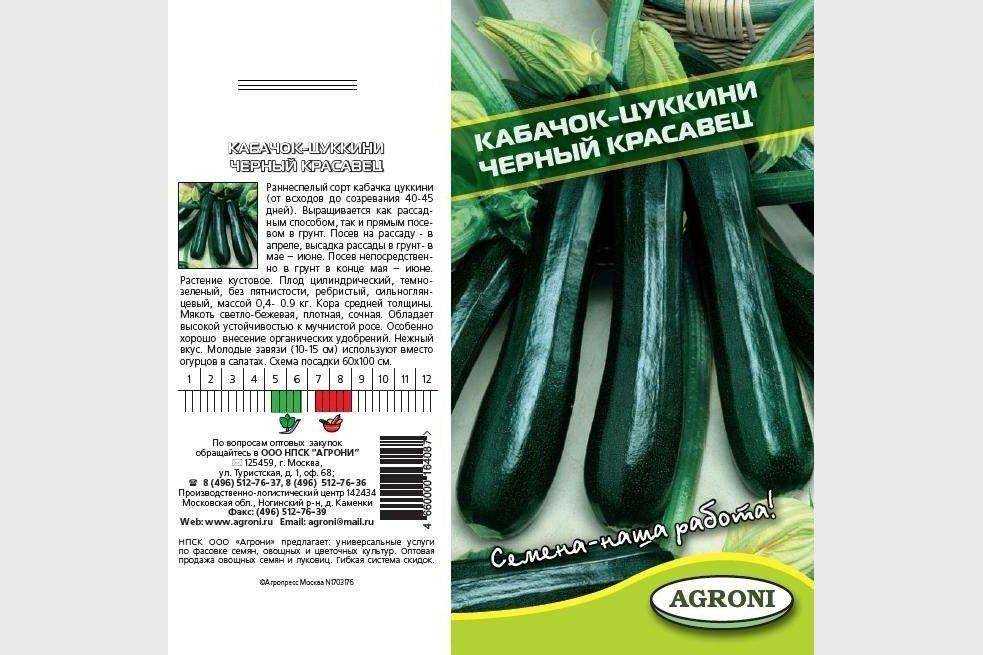 Сорт кабачка черный красавец, описание, характеристика и отзывы, а также особенности выращивания