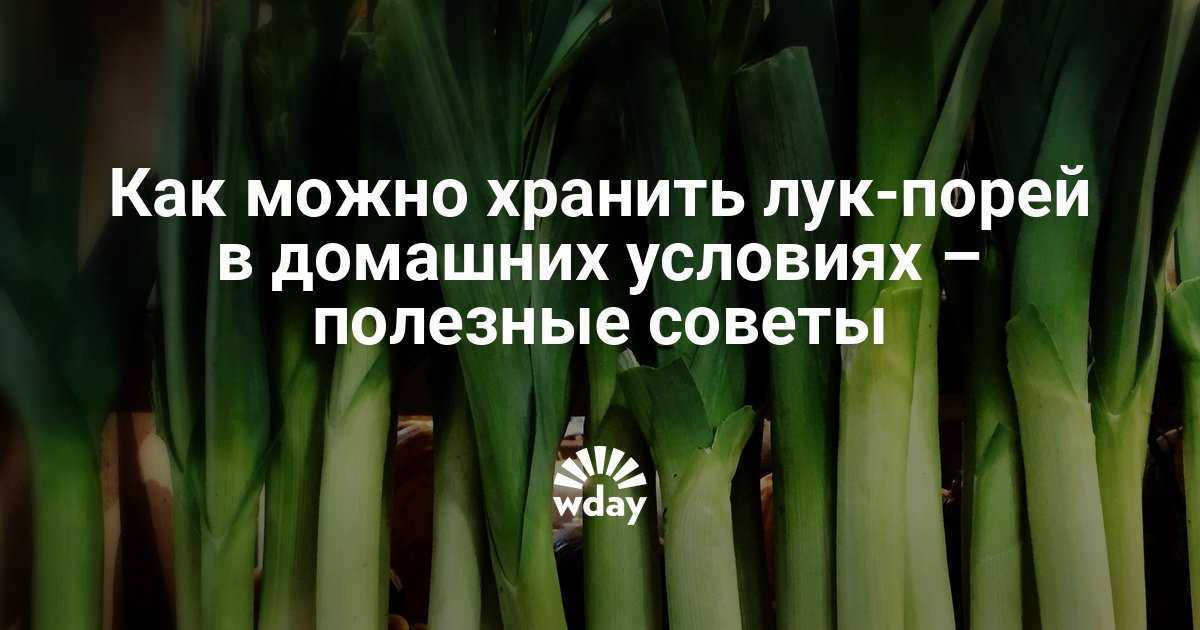 Когда нужно убирать лук-порей с грядки на хранение?