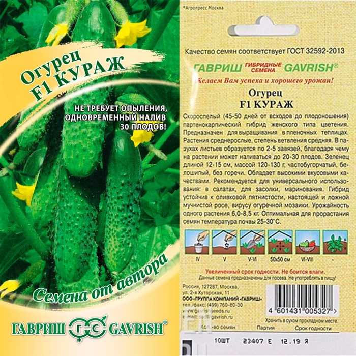 Огурцы феникс